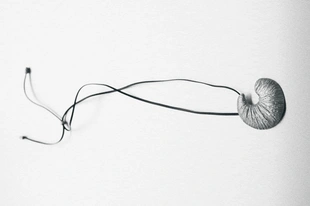 Ожерелье с подвеской из ископаемого- Заказать в России