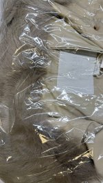 Zara КУРТКА С ВОРОТНИКОМ ИЗ ИСКУССТВЕННОГО МЕХА — ZW COLLECTION Ecru | 3811/243/712