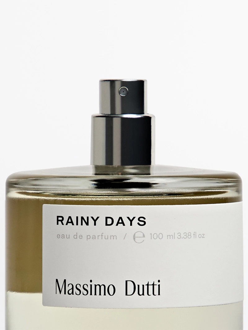 (100 мл) духи rainy days