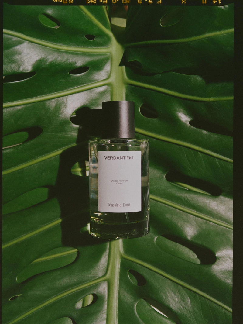 (100 мл) духи verdant fig