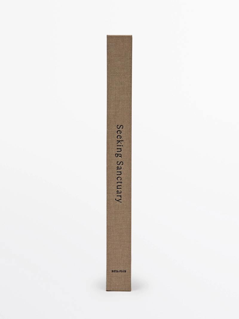 Книга seeking sanctuary