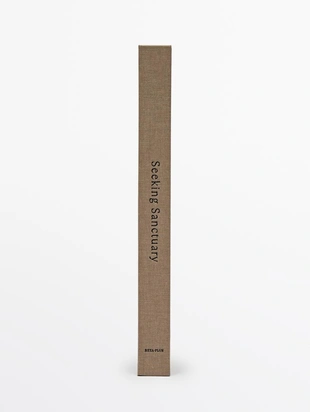 Книга ищущие убежище- Заказать в России