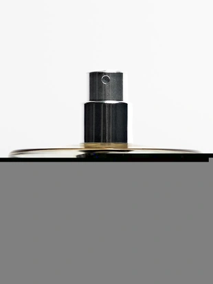 (100 мл) туалетная вода LEATHER STATEMENT- Заказать в России