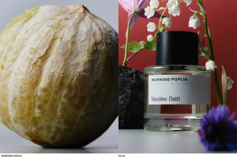 (100 мл) утренний парфюм morning poplin