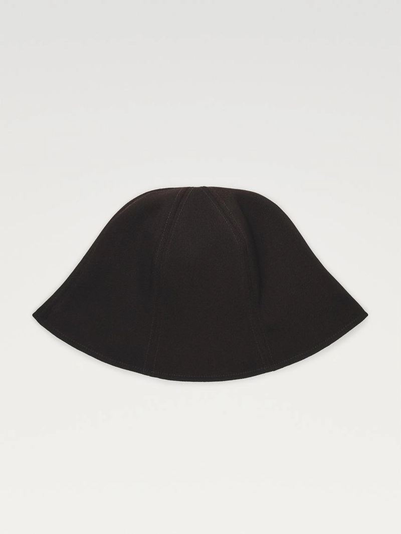 Войлочная ведрошляпа