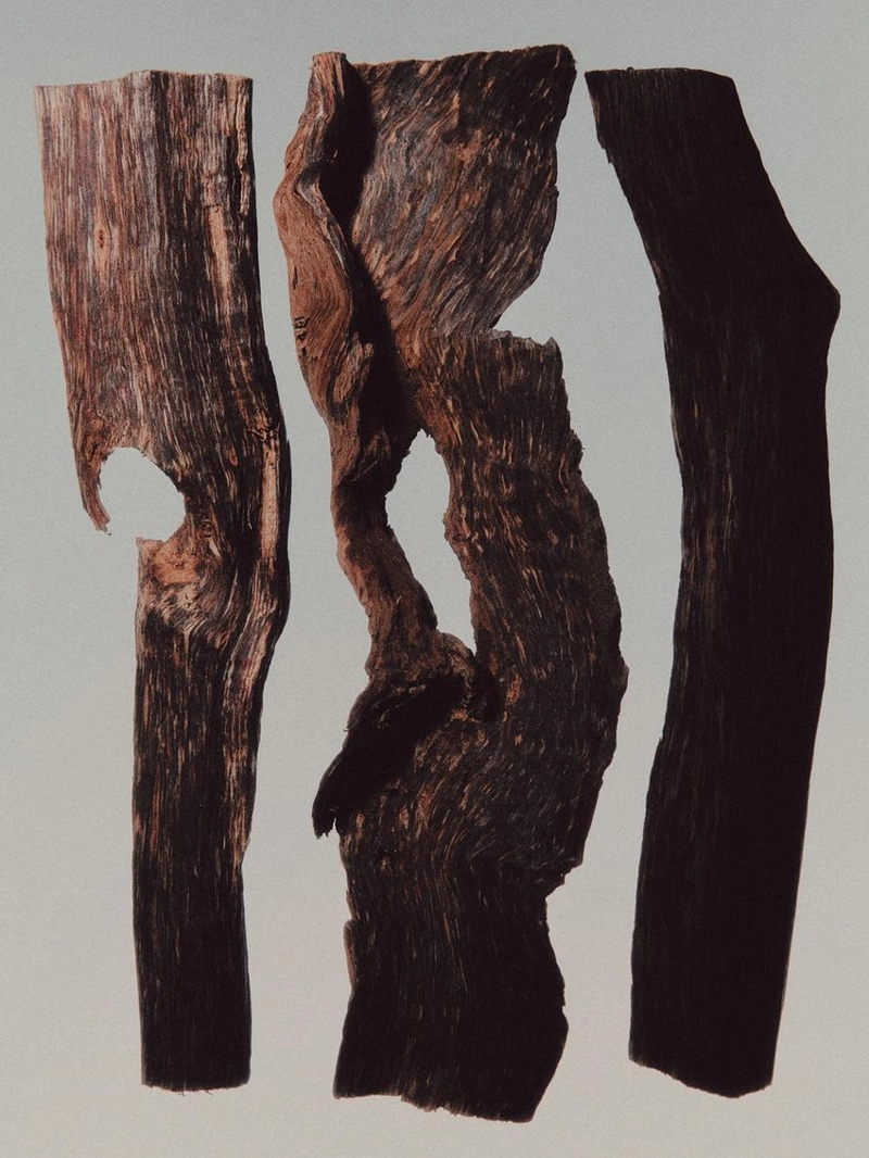 (100 мл) skinfusion eau de parfum