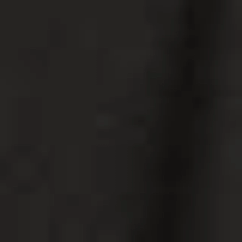 Блейзер прямого кроя с поясом - лимитированная коллекция